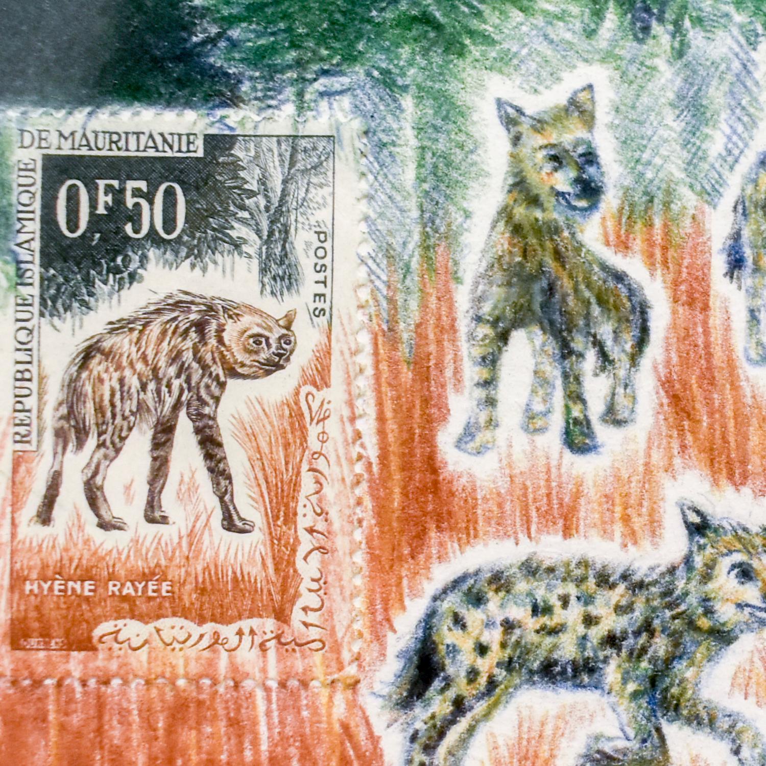 Mauritania (Hyenas) : dessin coloré détaillé au crayon sous-saharien et cachet unique - Contemporain Art par Andrea Moreau