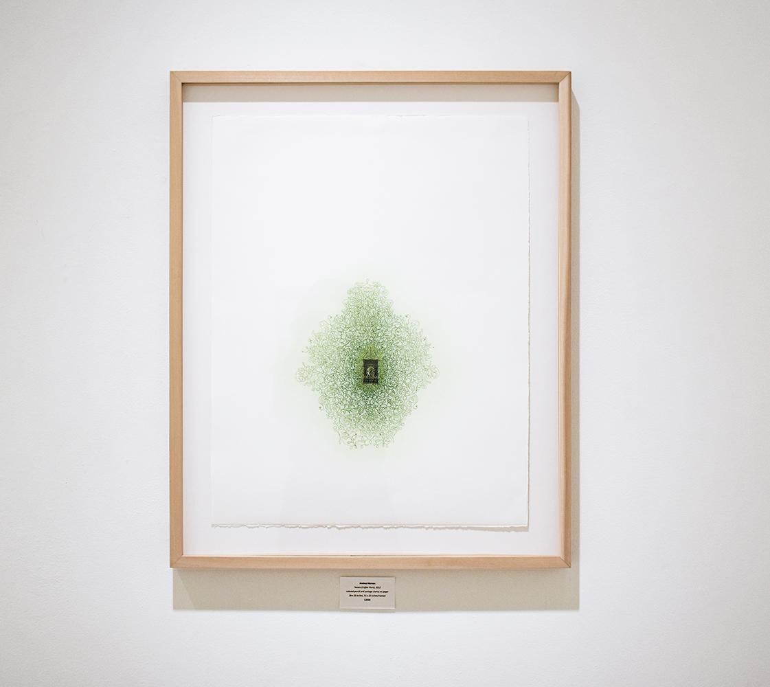 Le Yémén (plante de café) : dessin au crayon de couleur abstraite verte, encadré - Blanc Figurative Art par Andrea Moreau