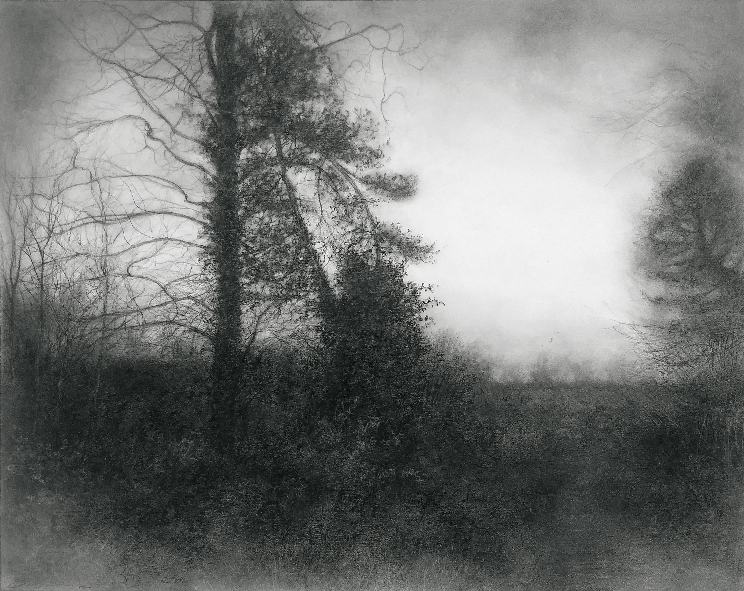 Sue Bryan Landscape Art - A Way Through (Black & White Charcoal Drawing of Misty Landscape w Spruce Tree)