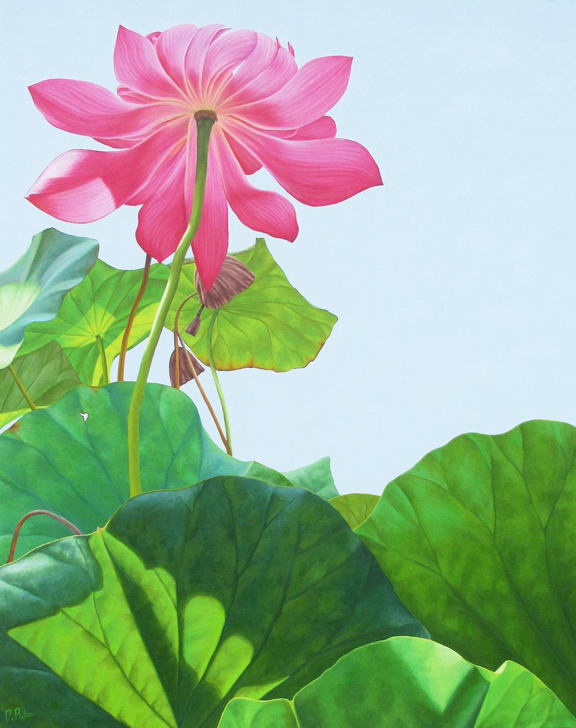 Lotus 25: Photorealist Still Life Painting of Pink Flower & Green Leaves on Blue