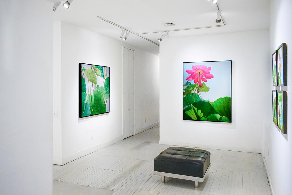 Lotus 25: Fotorealistisches Stillleben mit rosa Blume und grünen Blättern auf blauem Grund im Angebot 3