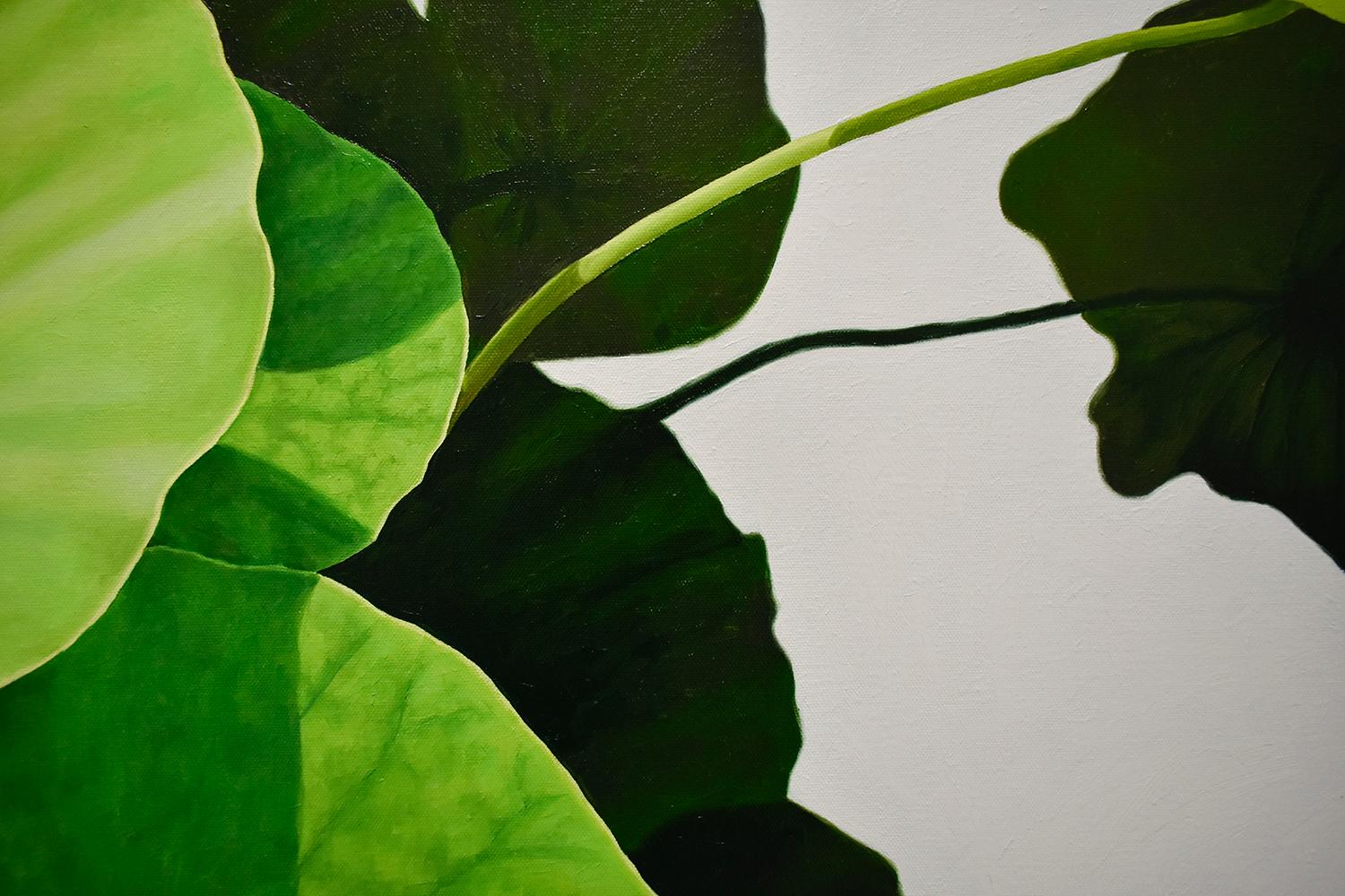 lotus leaves painting