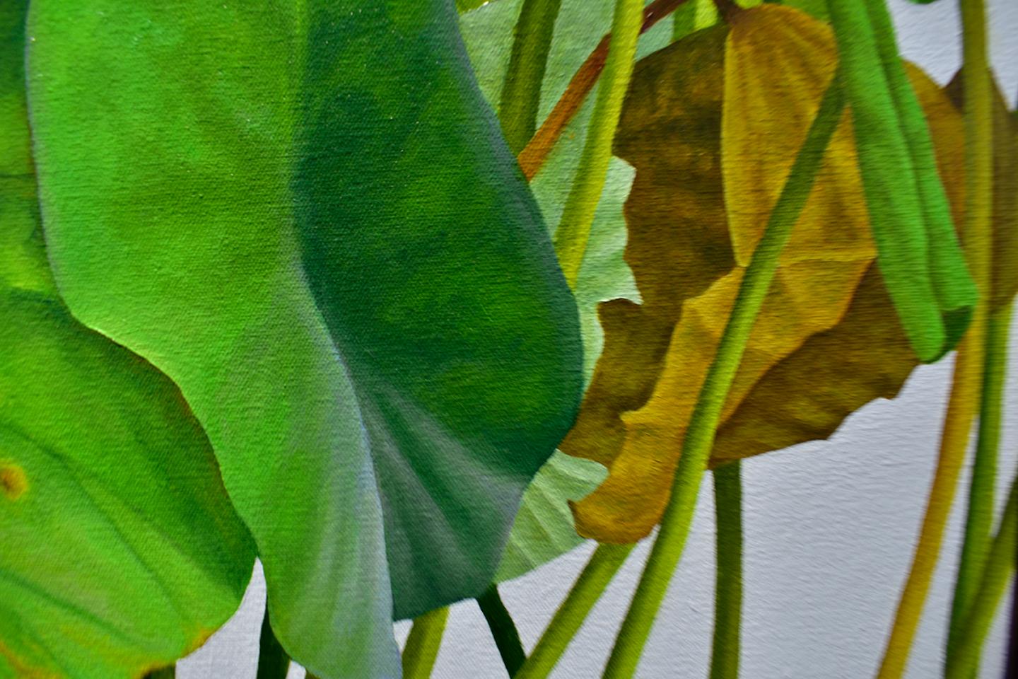 Lotus Number Twenty-Four: Realist Still Life Painting of Bright Green Lotus Plants
Photorealist still life painting of green and soft yellow lotus leaves on a light grey background
