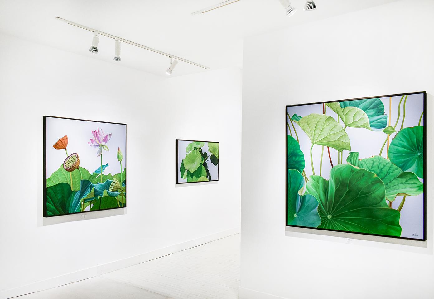 Lotus Number Twenty-Four: Realist Still Life Painting of Green Lotus Plants 1