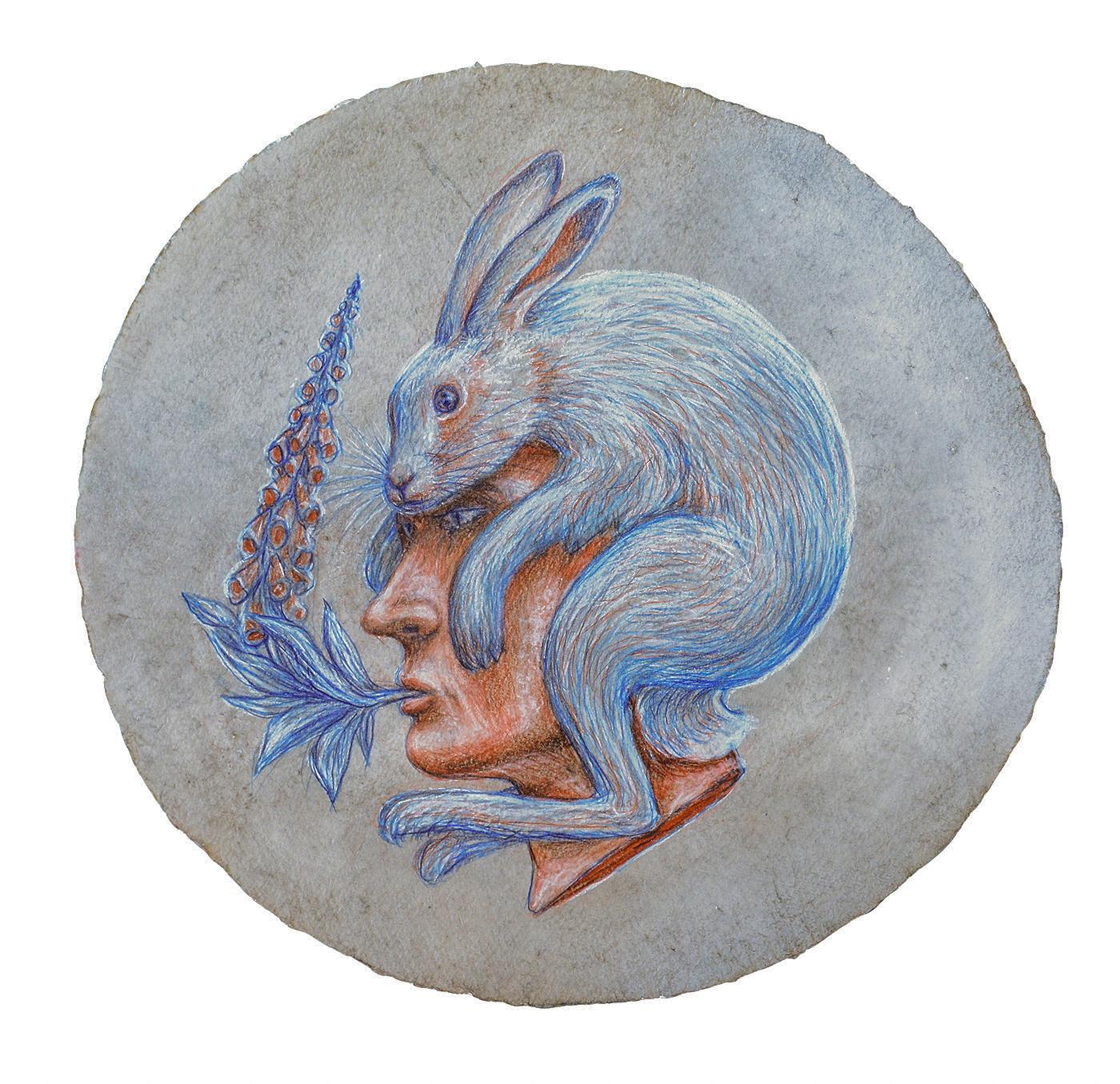 Foxglove Rabbit Augury: Round Pastel Drawing, Handmade Paper by Kahn & Selesnick