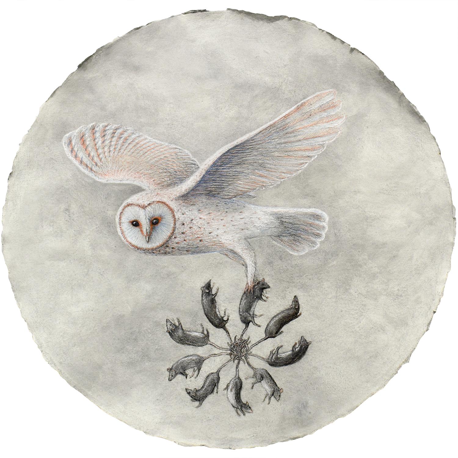 Nicholas Kahn & Richard Selesnick Animal Painting - Rat King Augury: Snow White Owl Pastel on Handmade Paper by Kahn & Selesnick