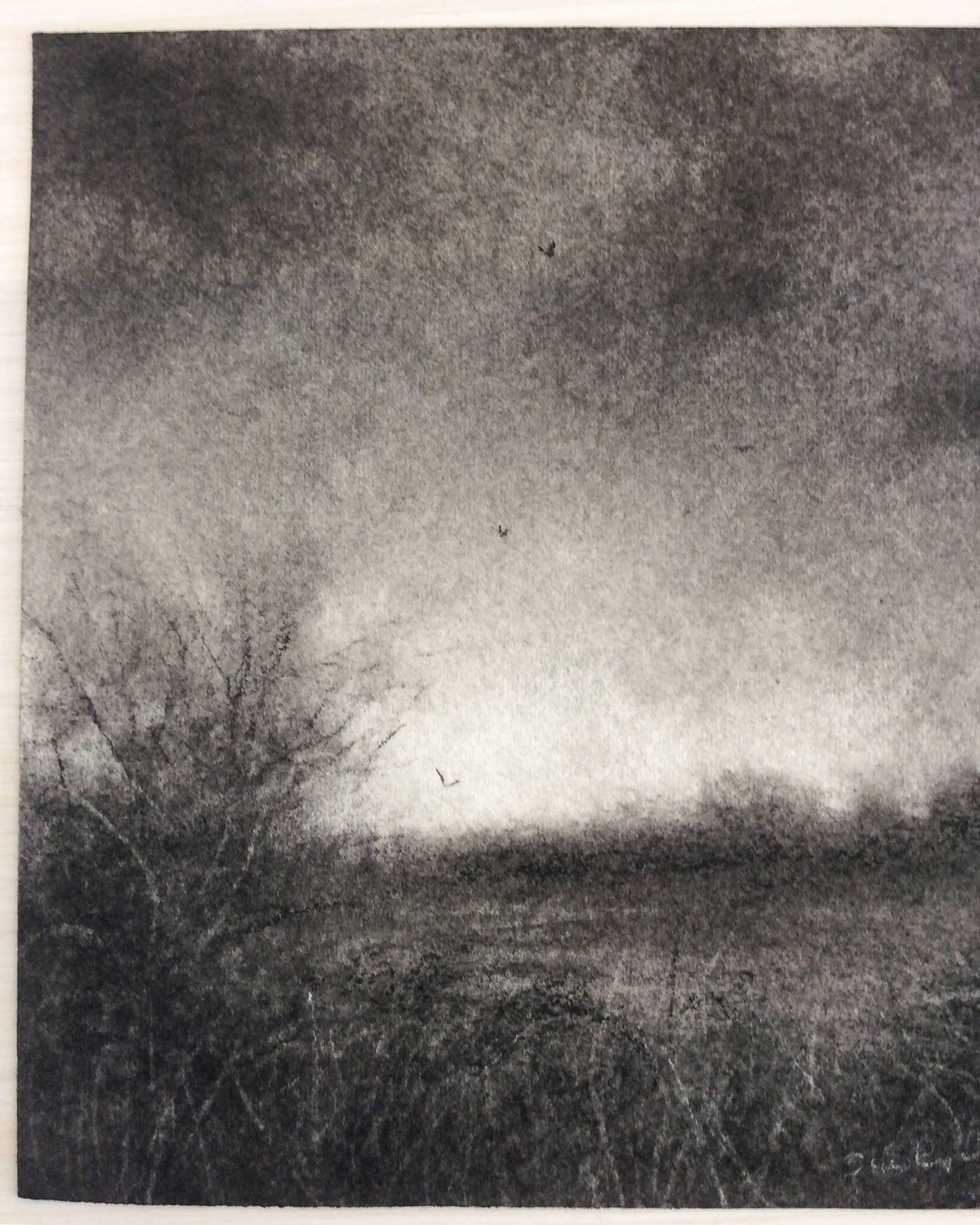 Edgeland XV (Miniature Realistic Landscape Drawing in Black Charcoal, Framed) - Contemporary Art by Sue Bryan