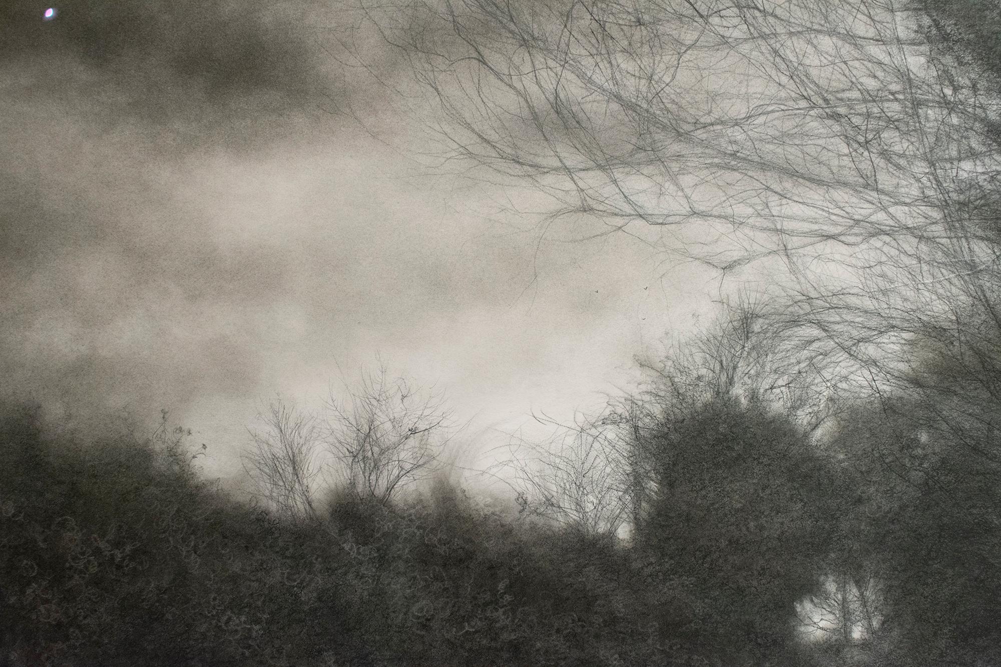 The Soft Edge of the Day (Contemporary Charcoal Landscape of Country Road) - Black Landscape Painting by Sue Bryan