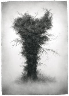 Wallflower (Moody Charcoal Landscape Drawing of Tree)