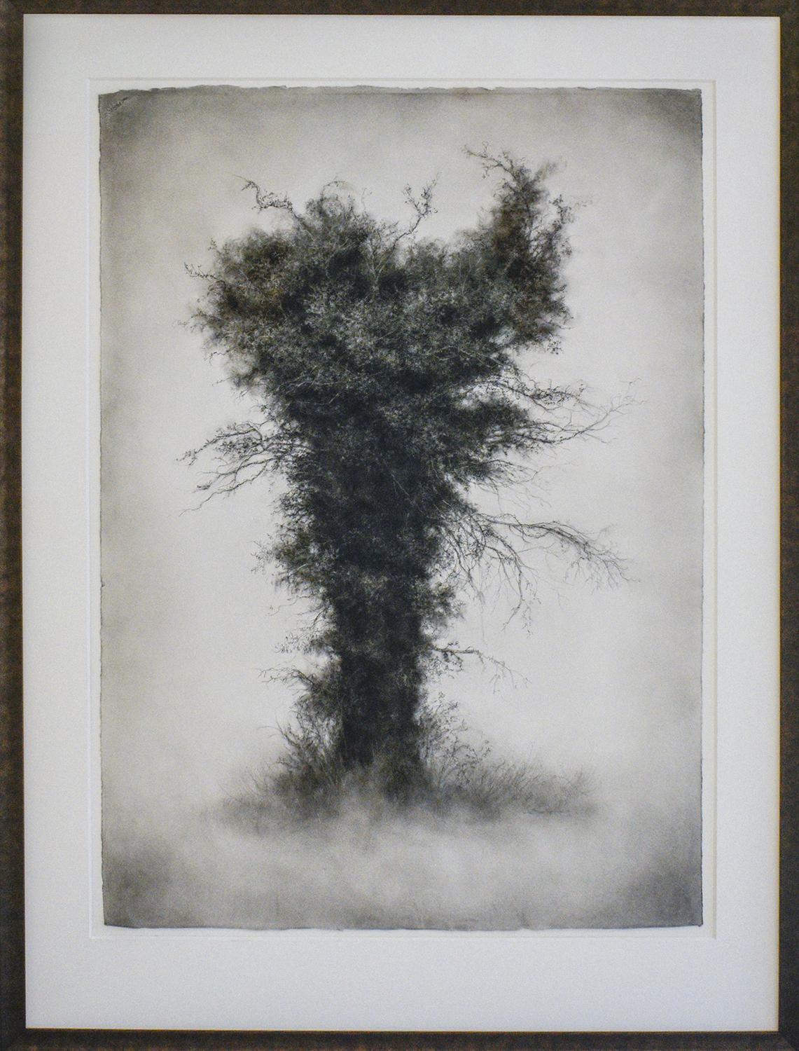 Wallflower (Moody Charcoal Landscape Drawing of Tree) - Art by Sue Bryan