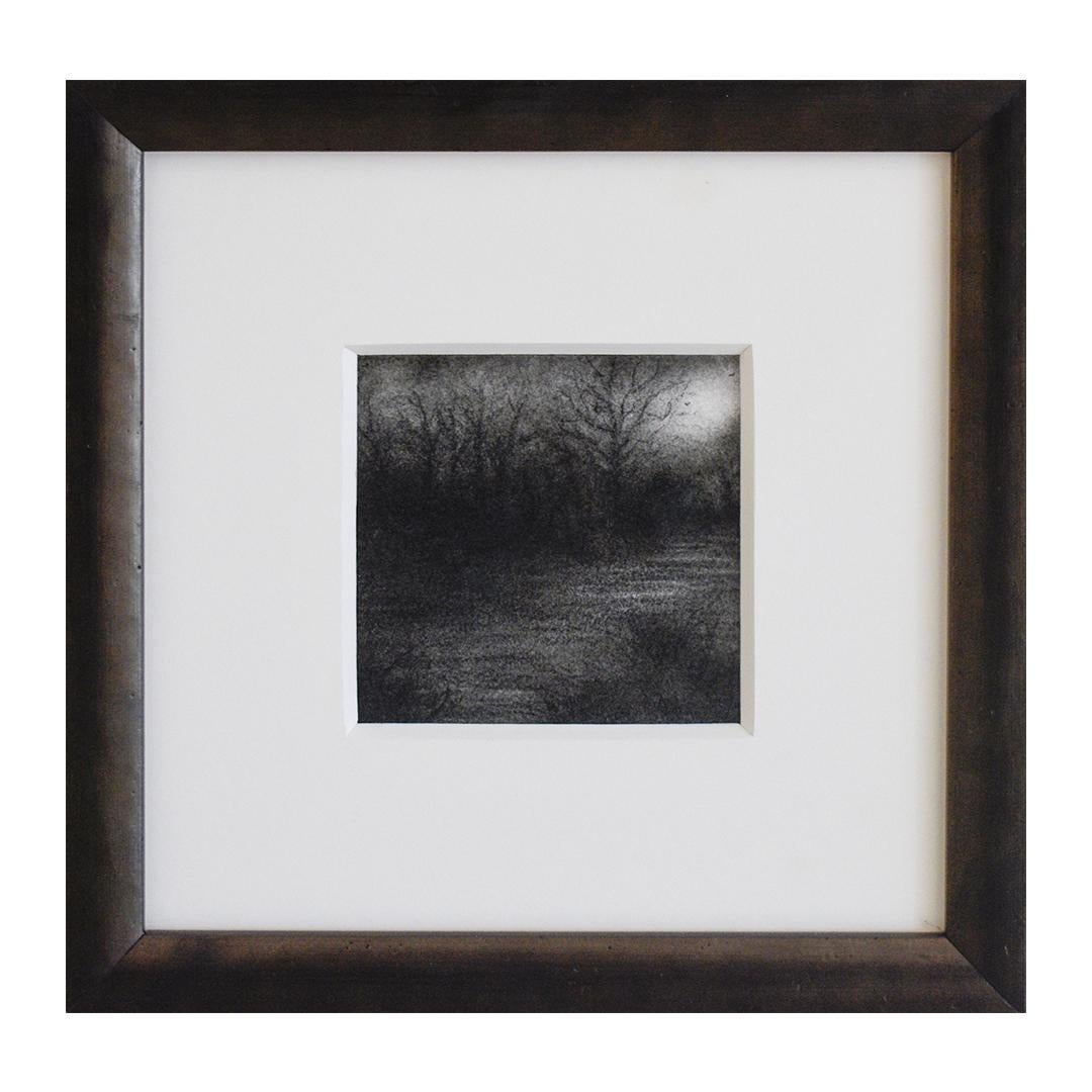 Nocturne VI (Original Charcoal Landscape Drawing of Moonlit Forest, Framed) - Contemporary Painting by Sue Bryan