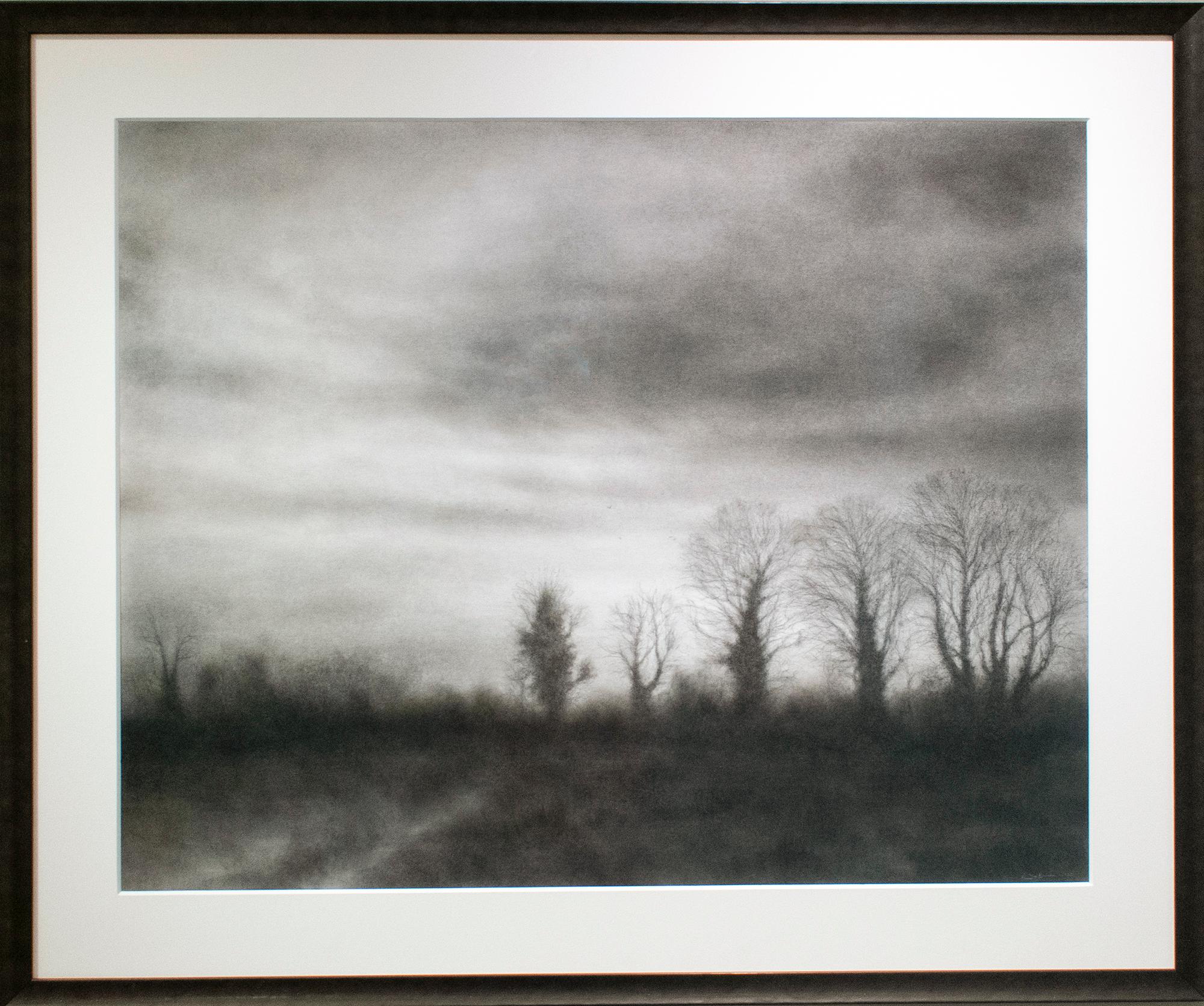 Anthem III (Realistic Black Charcoal Landscape Drawing of a Country Forest) - Art by Sue Bryan