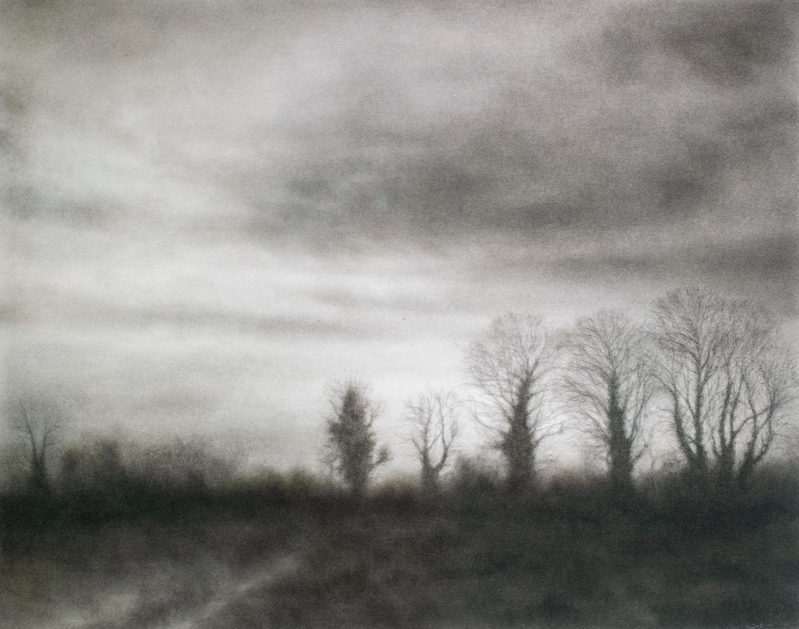 Anthem III (Realistic Black Charcoal Landscape Drawing of a Country Forest)