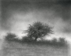 Landscape with Tree (Contemporary Charcoal Drawing of Rural Horizon)