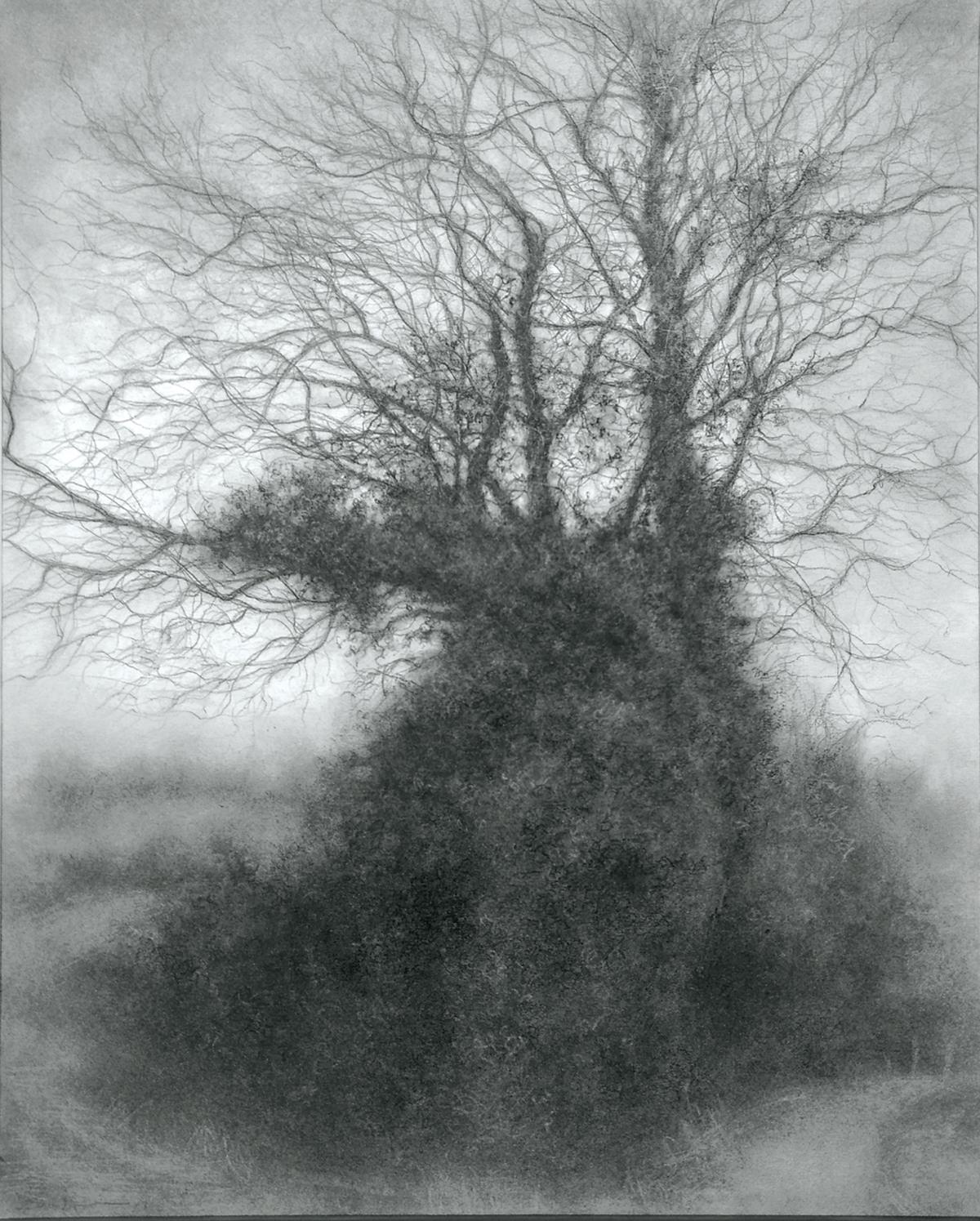 Rural Road 8 (Realistic Charcoal Landscape of a Tree on a Country Road, Framed)