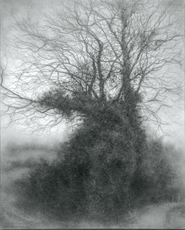 Sue Bryan Figurative Art - Rural Road 8 (Realistic Charcoal Landscape of a Tree on a Country Road, Framed)