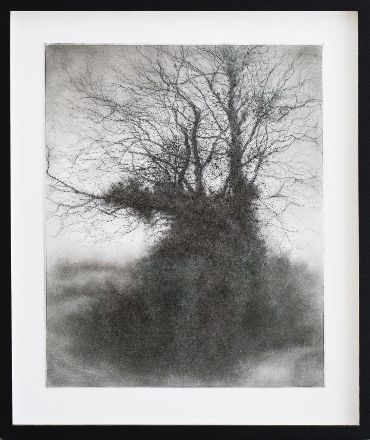 Rural Road 8 (Realistic Charcoal Landscape of a Tree on a Country Road, Framed) - Art by Sue Bryan