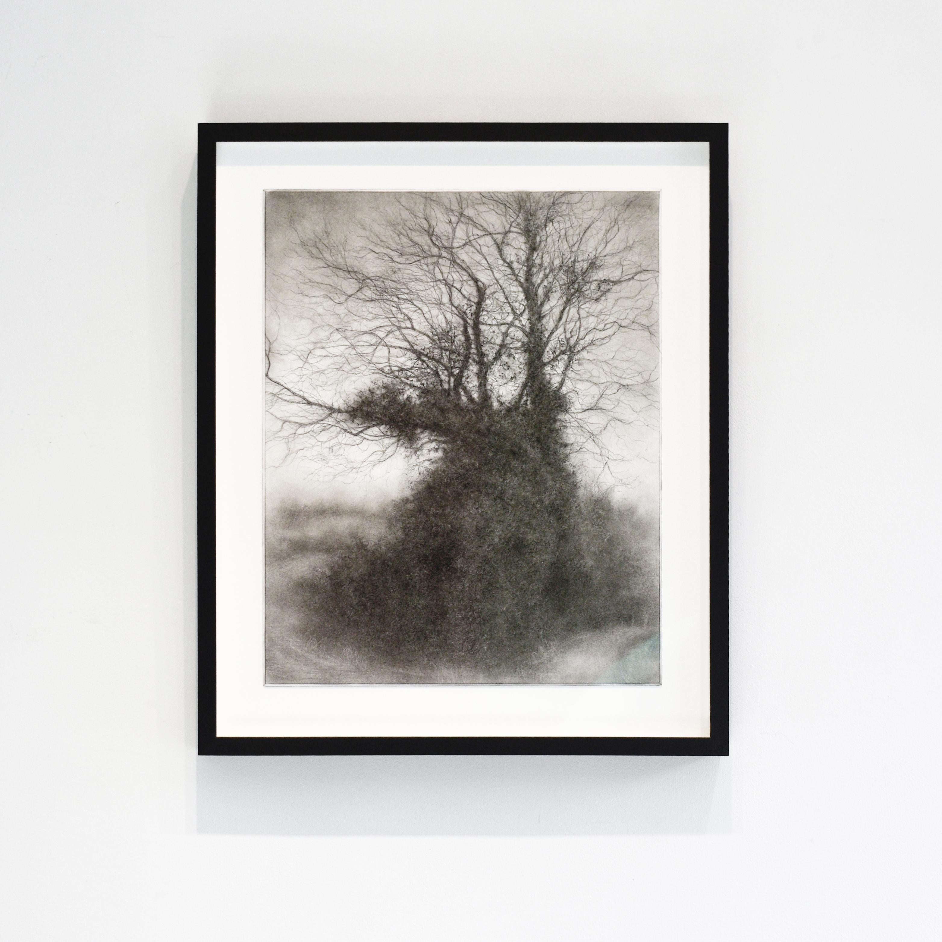 Rural Road 8 (Realistic Charcoal Landscape of a Tree on a Country Road, Framed) - Modern Art by Sue Bryan