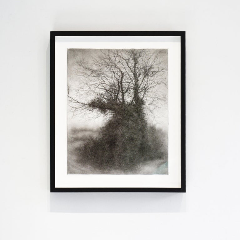 Rural Road 8 (Realistic Charcoal Landscape of a Tree on a Country Road, Framed) For Sale 1