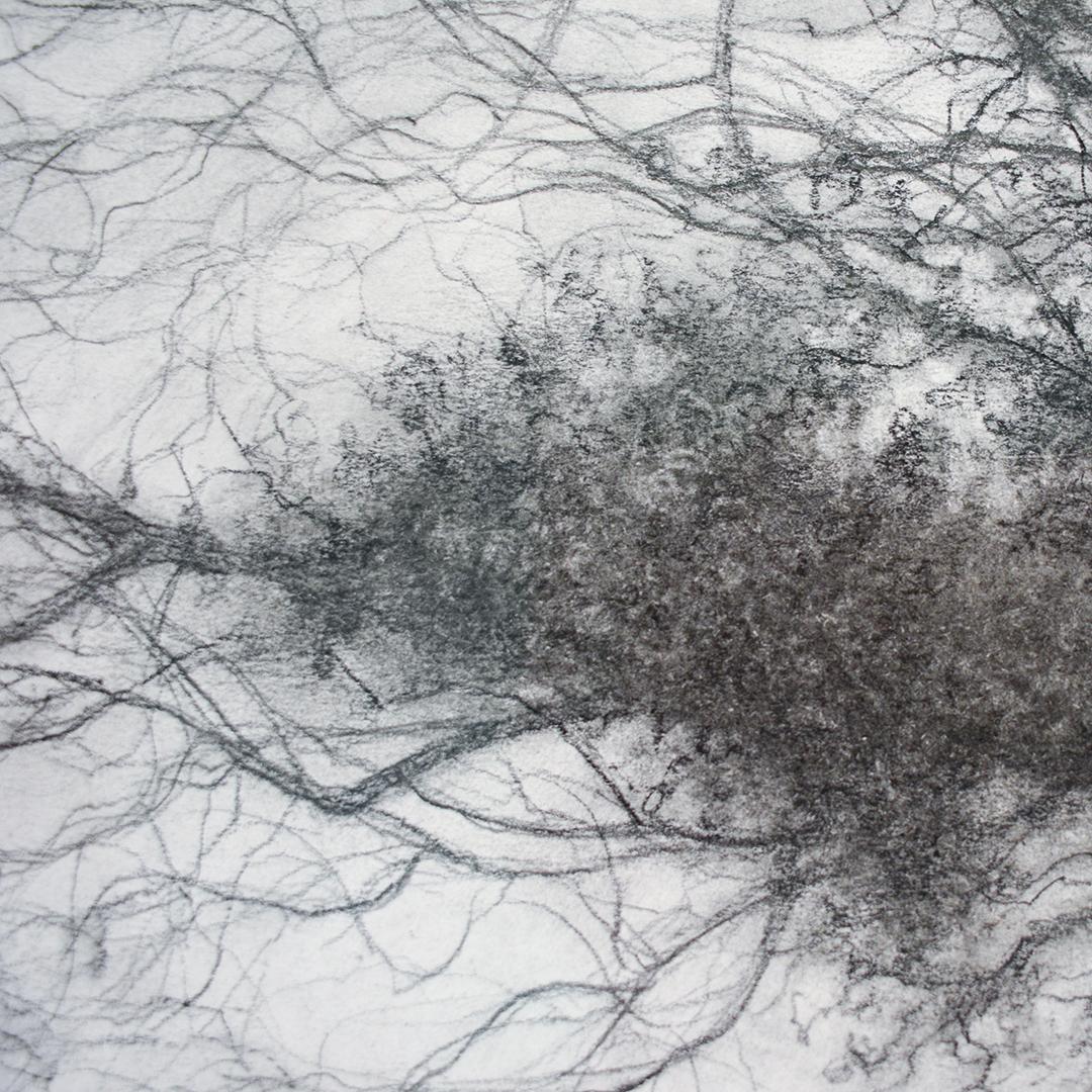 Rural Road 8 (Realistische Holzlandschaft eines Baumes auf einer Landstraße, gerahmt) (Grau), Figurative Art, von Sue Bryan