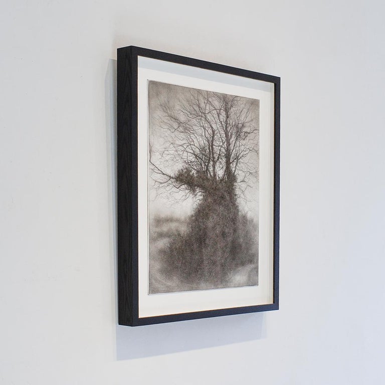 Black and White realistic charcoal landscape drawing of a large tree on a country road
“Rural Road 8”, made by Sue Bryan in 2017
20