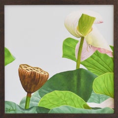 Lotus Nr. 34 (fotorealistisches Stillleben mit rosa und grünen Lotusblumen)