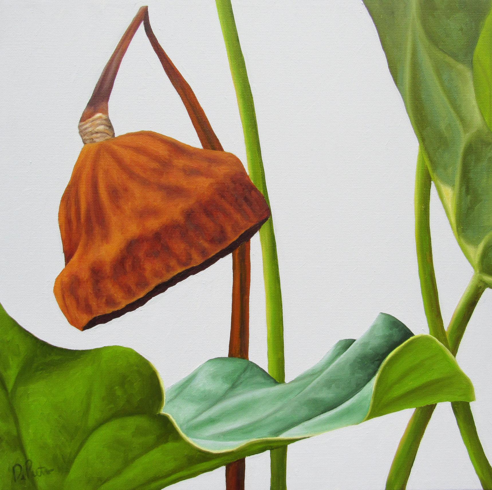 Lotus No. 35 (Photorealist Still Life Painting of Green & Brown Lotus Plant) 