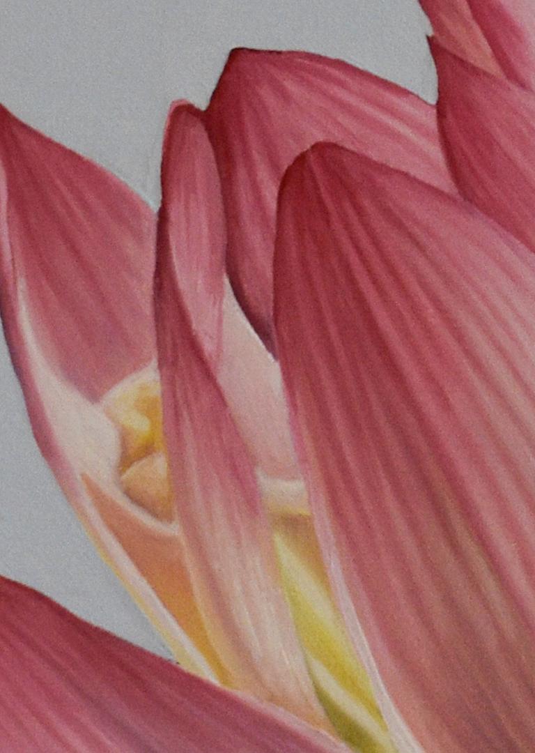 Lotus 33: Photorealist Still Life Painting of Pink & Green Lotus Flower on Blue 2