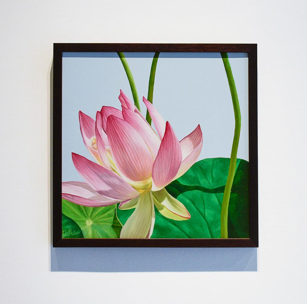 lotus flower of life