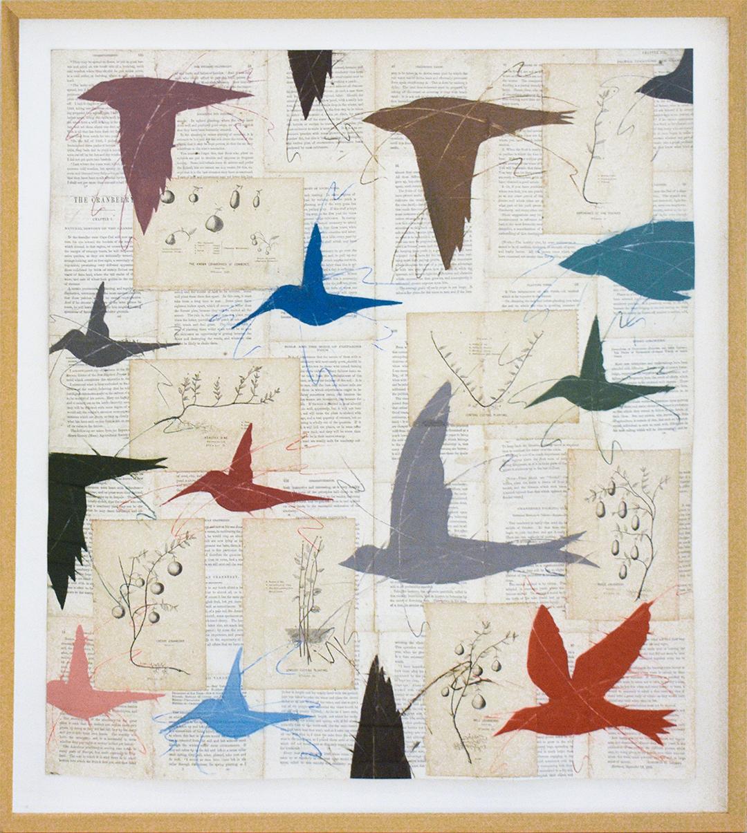 Louise Laplante Figurative Art - Cranberry Bright Birds: Figurative Drawing of Colorful Birds on Antique Paper