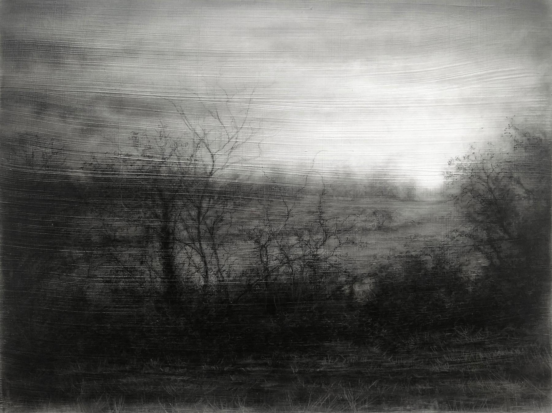 Field’s Edge (Realistic Black and White Charcoal Landscape of Trees in a Forest