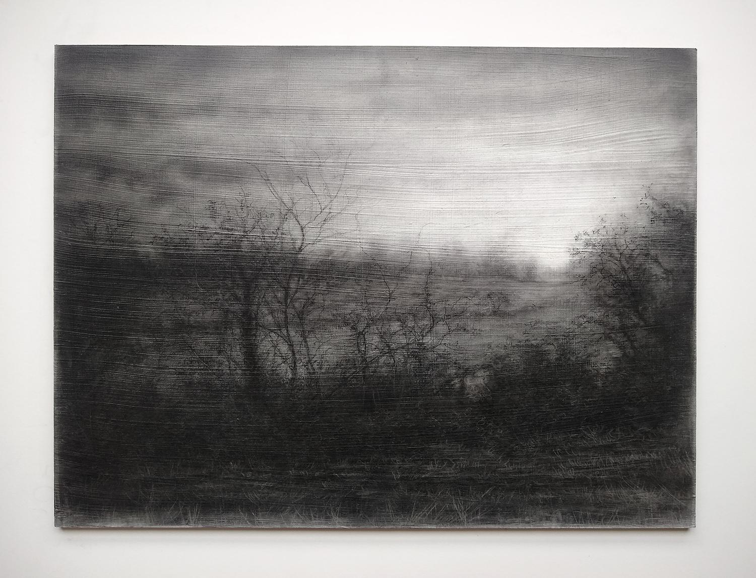 Field’s Edge (Realistic Black and White Charcoal Landscape of Trees in a Forest - Art by Sue Bryan