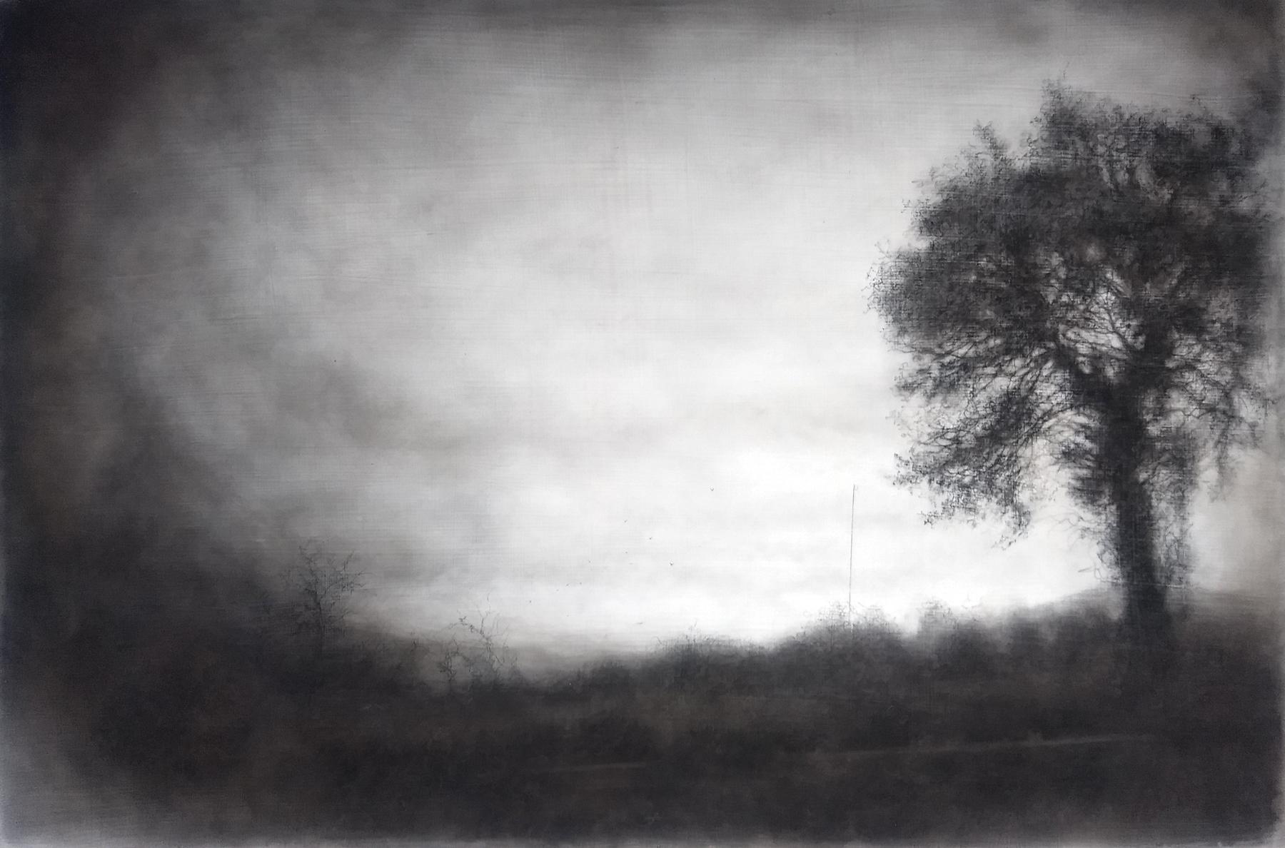 Roadside Tree (Realistic Black Charcoal Landscape Drawing of a Country Field)