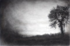 Roadside Tree ( Realistische schwarze Holzkohle-Landschaftszeichnung eines Landschaftsfeldes)