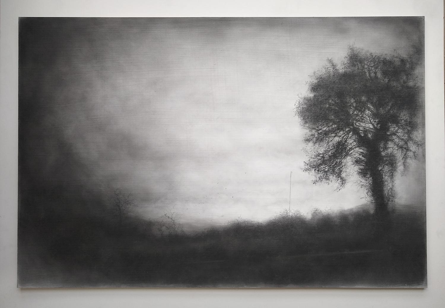 Roadside Tree (Realistic Black Charcoal Landscape Drawing of a Country Field) - Art by Sue Bryan