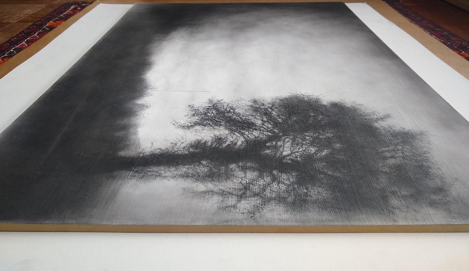 Roadside Tree ( Realistische schwarze Holzkohle-Landschaftszeichnung eines Landschaftsfeldes) 2