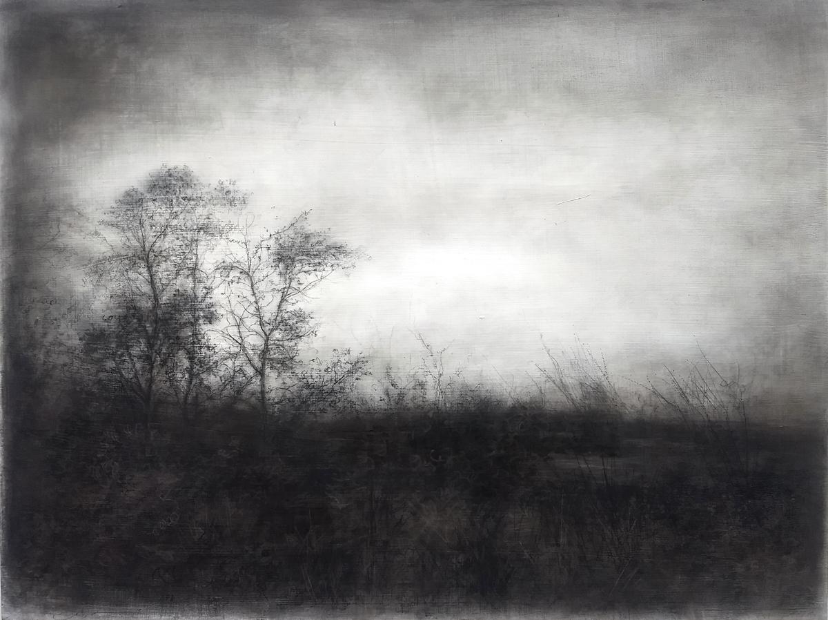Sue Bryan Figurative Art - Vestigial Landscape (Whimsical Black and White Charcoal Landscape)