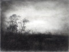 Vestigial Landscape (Whimsical Black and White Charcoal Landscape)