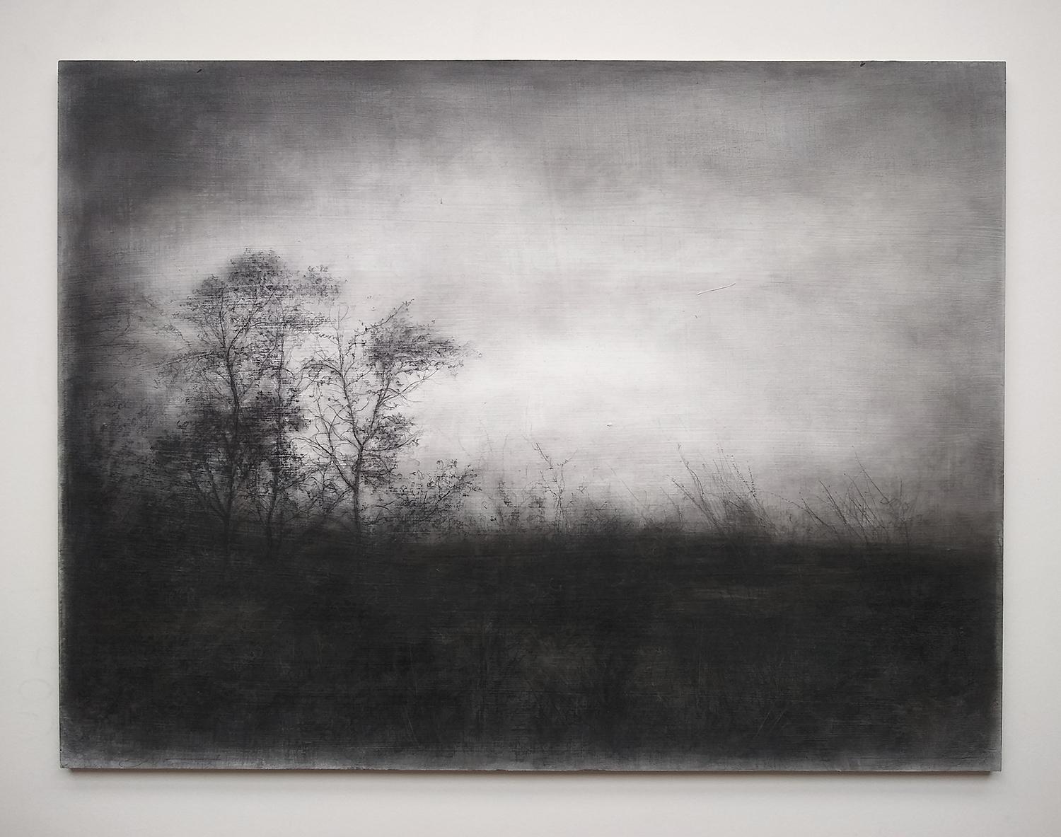 Vestigial Landscape (Whimsical Black and White Charcoal Landscape) - Art by Sue Bryan
