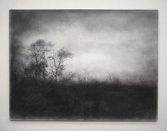 Vestigial Landscape (Whimsical Black and White Charcoal Landscape)