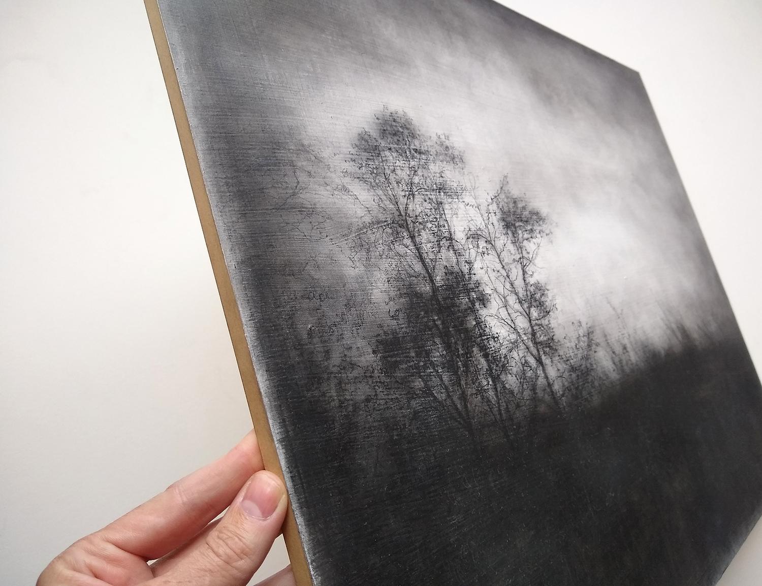 Sue Bryan
Vestigial Landscape, 2019
Black and White realistic charcoal landscape drawing of trees in the countryside
18