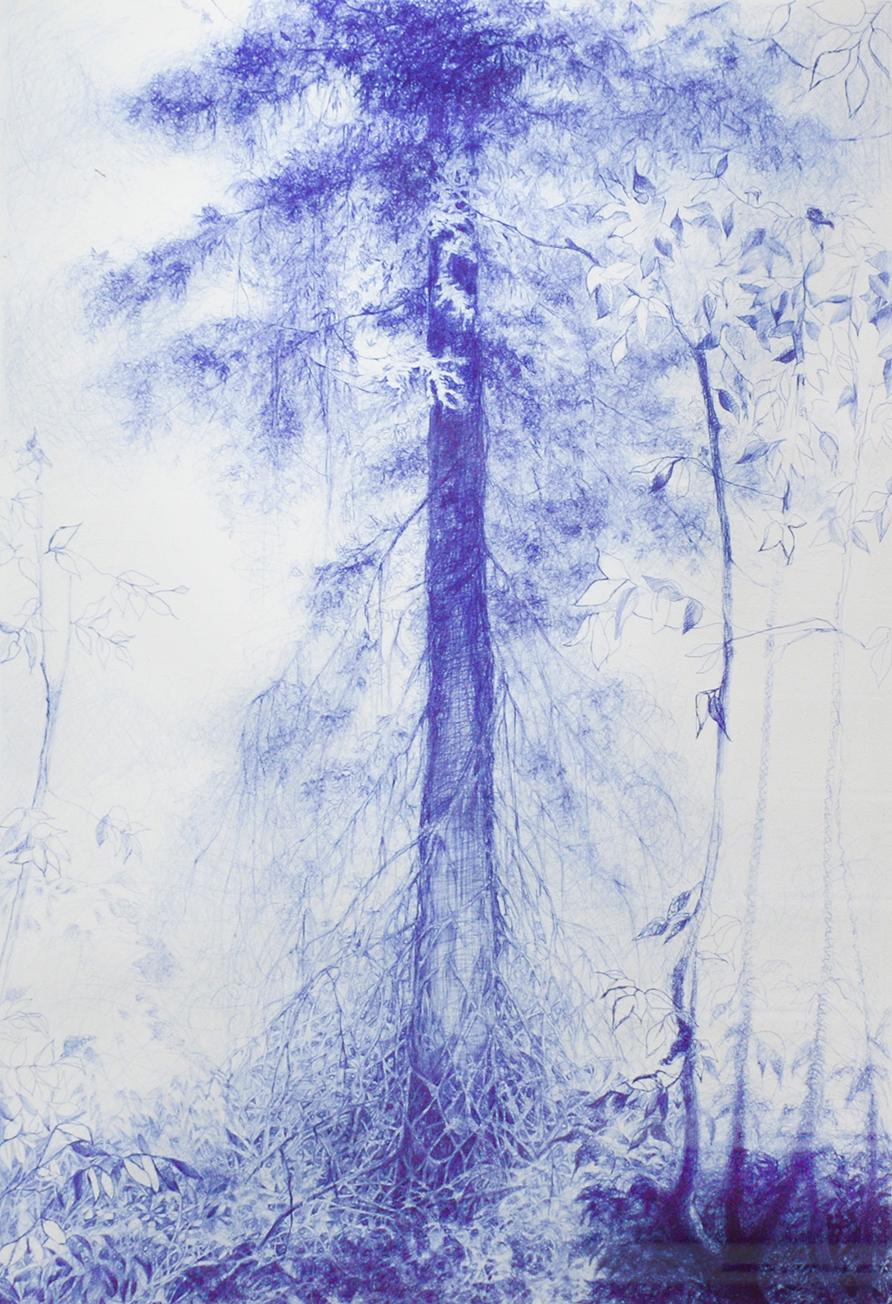 Linda Newman Boughton Figurative Art - Branching (Blue Ballpoint Pen Landscape Drawing on Paper of Tree in a Forest)