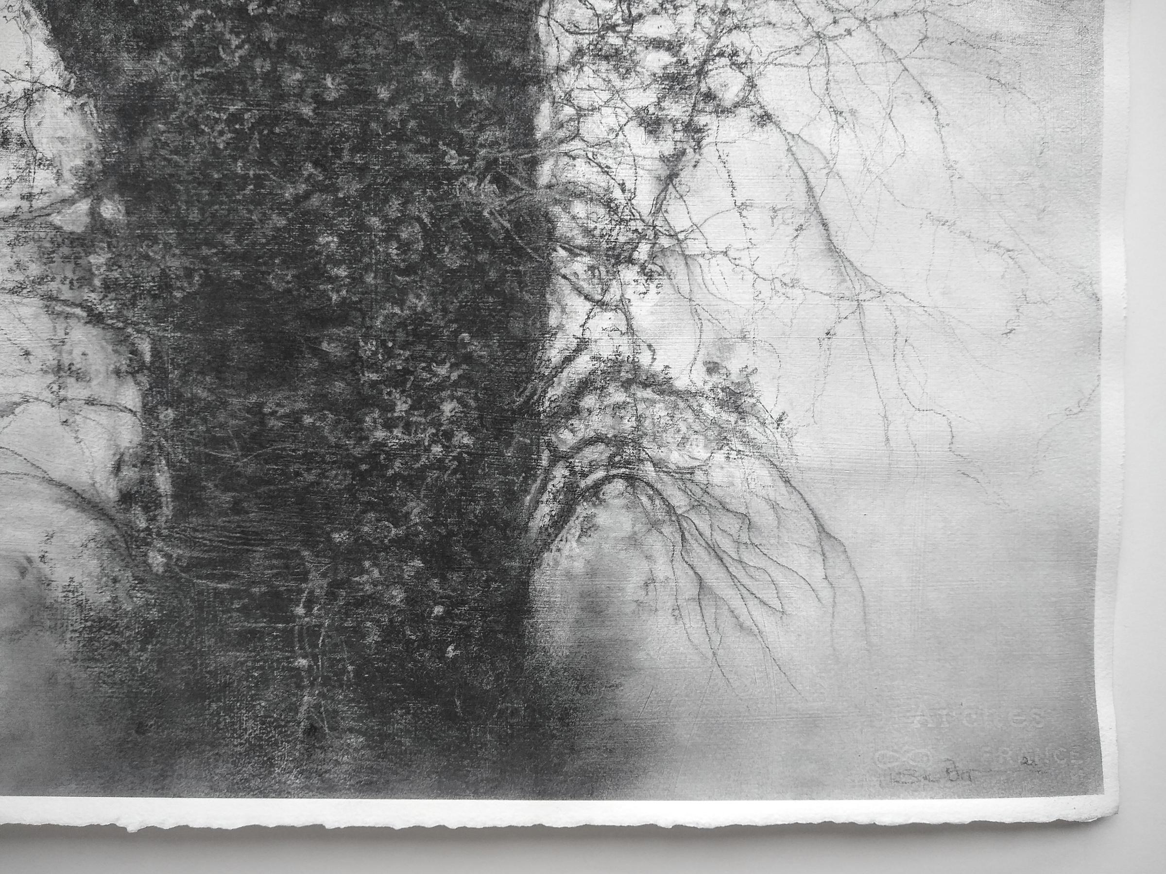 Beneath The Dripping Trees (Realistische Landschaftszeichnung in Schwarz-Weiß in Holzkohle) im Angebot 1