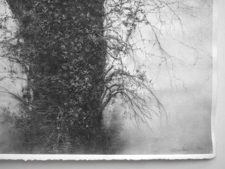 Beneath The Dripping Trees (Realistic Black & White Charcoal Landscape Drawing) For Sale 1