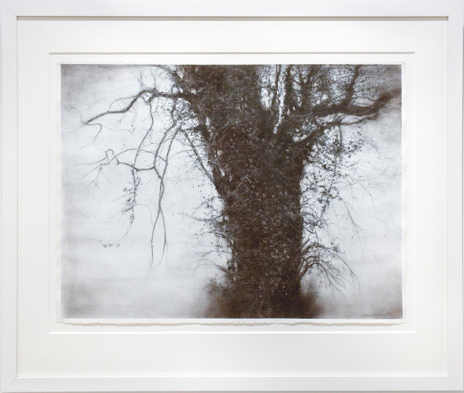Beneath The Dripping Trees (Realistische Landschaftszeichnung in Schwarz-Weiß in Holzkohle) (Grau), Figurative Art, von Sue Bryan