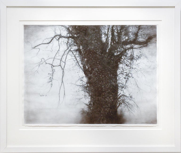 Beneath The Dripping Trees (Realistic Black & White Charcoal Landscape Drawing) - Gray Landscape Art by Sue Bryan