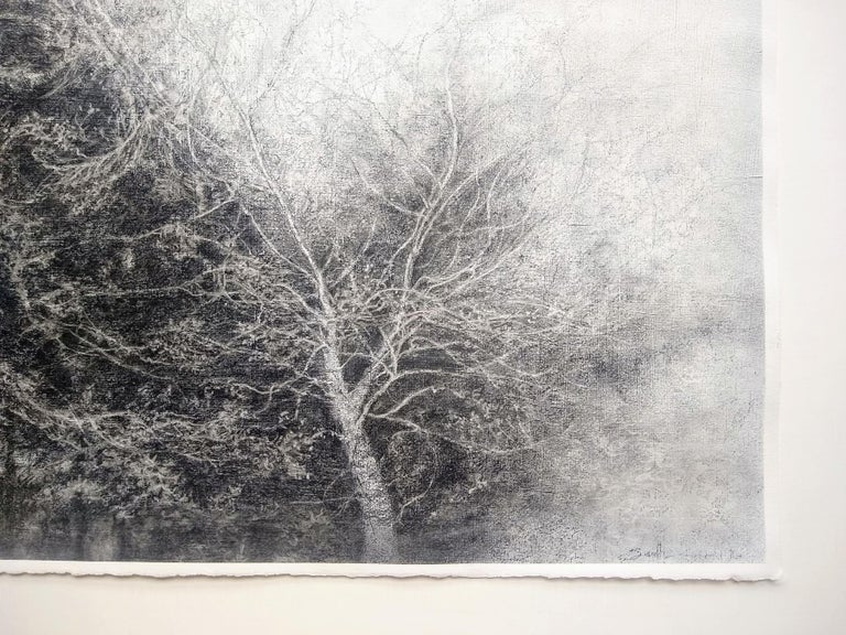 Fullness of the Wind (Framed Black & White Charcoal Landscape Drawing of a Tree) For Sale 1