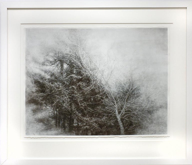Fullness of the Wind (Framed Black & White Charcoal Landscape Drawing of a Tree) - Art by Sue Bryan