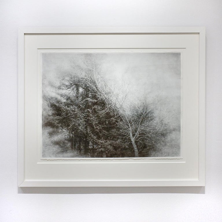 Fullness of the Wind (Framed Black & White Charcoal Landscape Drawing of a Tree) - Modern Art by Sue Bryan