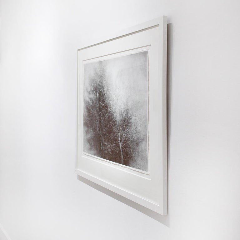 Fullness of the Wind (Framed Black & White Charcoal Landscape Drawing of a Tree) - Gray Landscape Art by Sue Bryan